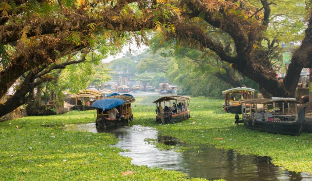 Kerala travel guide for honeymoon