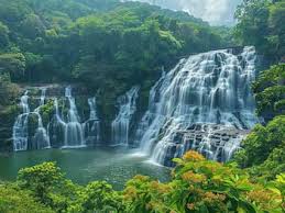 Kerala travel guide to Wayanad